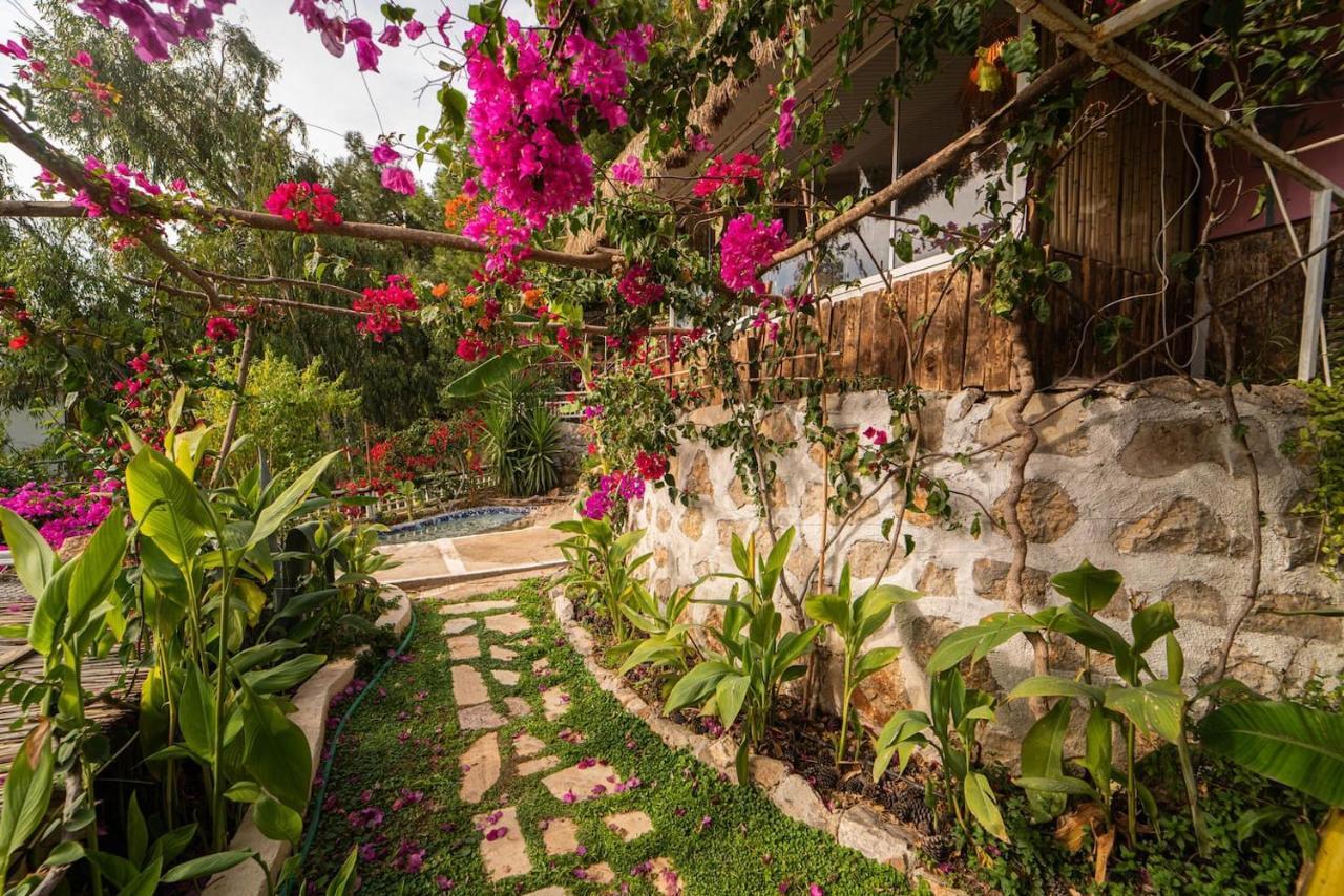 Begonvilla Bungalows Fethiye Extérieur photo