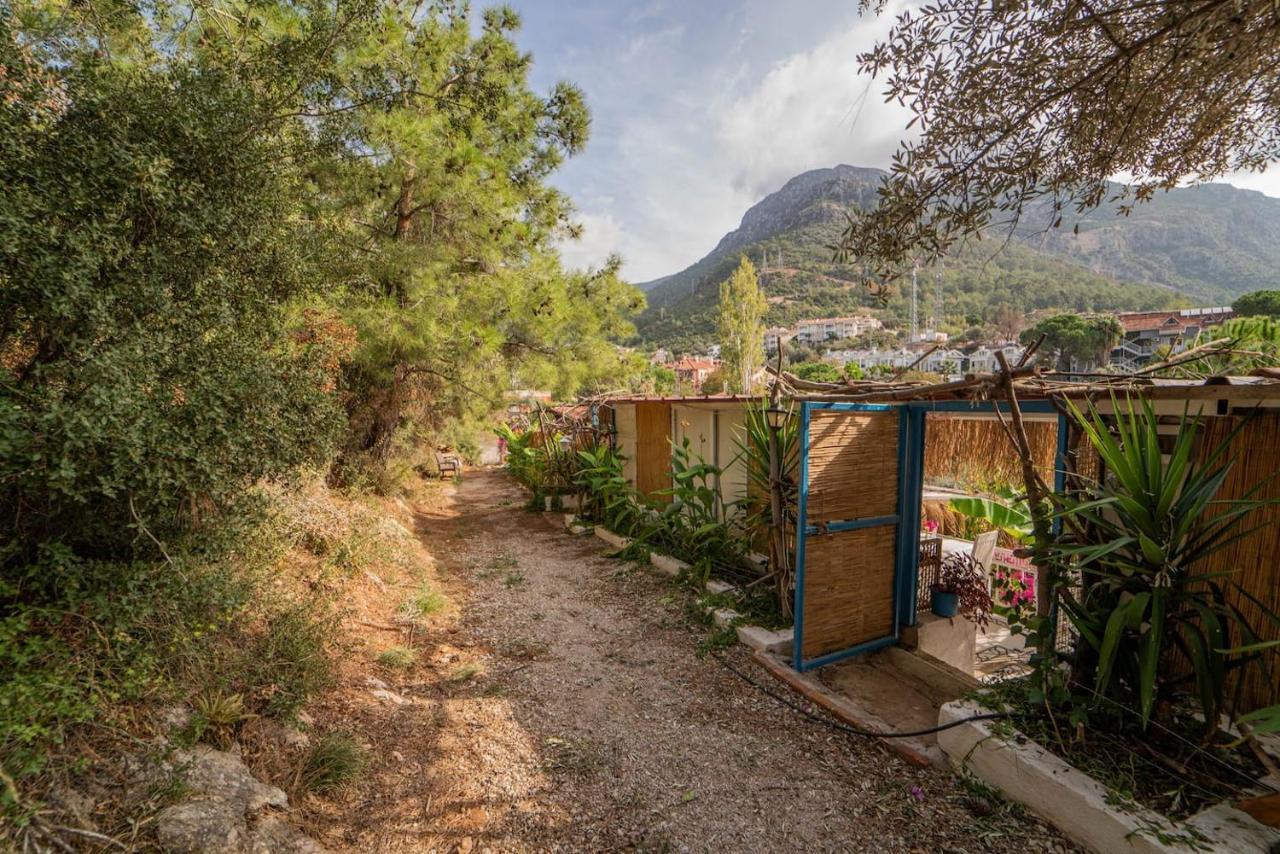 Begonvilla Bungalows Fethiye Extérieur photo