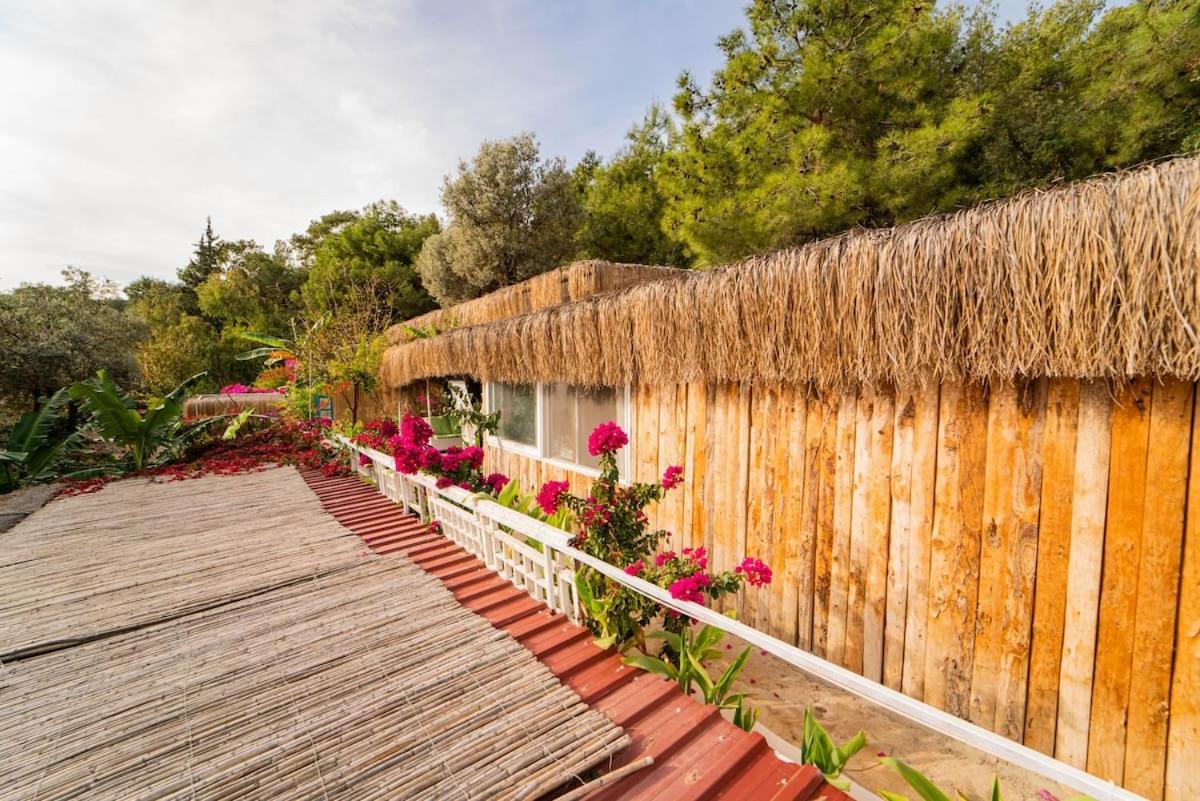 Begonvilla Bungalows Fethiye Extérieur photo
